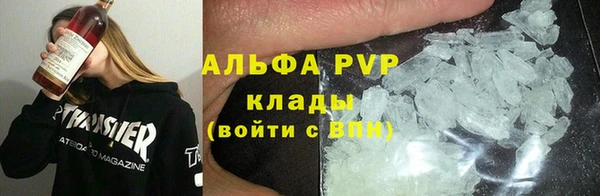 прущие грибы Абдулино