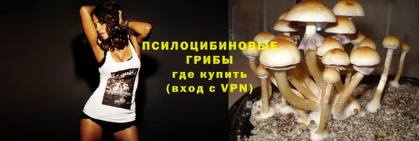 первитин Алексин