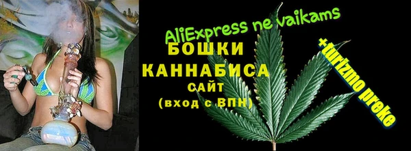 a pvp Алзамай